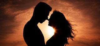 Two lovers unite according to the Sex Toolbox.