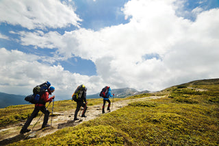Friends using techniques in the Friends Toolbox to go on a mountain hike.