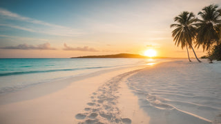 A beautiful deserted beach awaits people who are using the Vacation Toolbox.