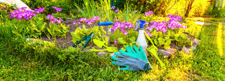 The hobby toolbox encourages people to enjoy their favorite hobby like gardening shown in this image.