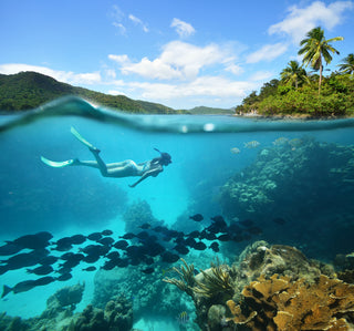 Use the Vacation Toolbox to plan your next adventure like this image of snorkeling in paradise.
